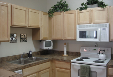 Royale Palms Gourmet Kitchens with Color TVs