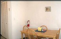 The Courtyards Gainesville Apartment 2BR Flat