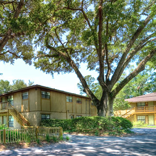 Apartments Near UF