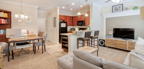 1 Bedroom Apartment