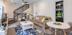 4 Bedroom Apartment